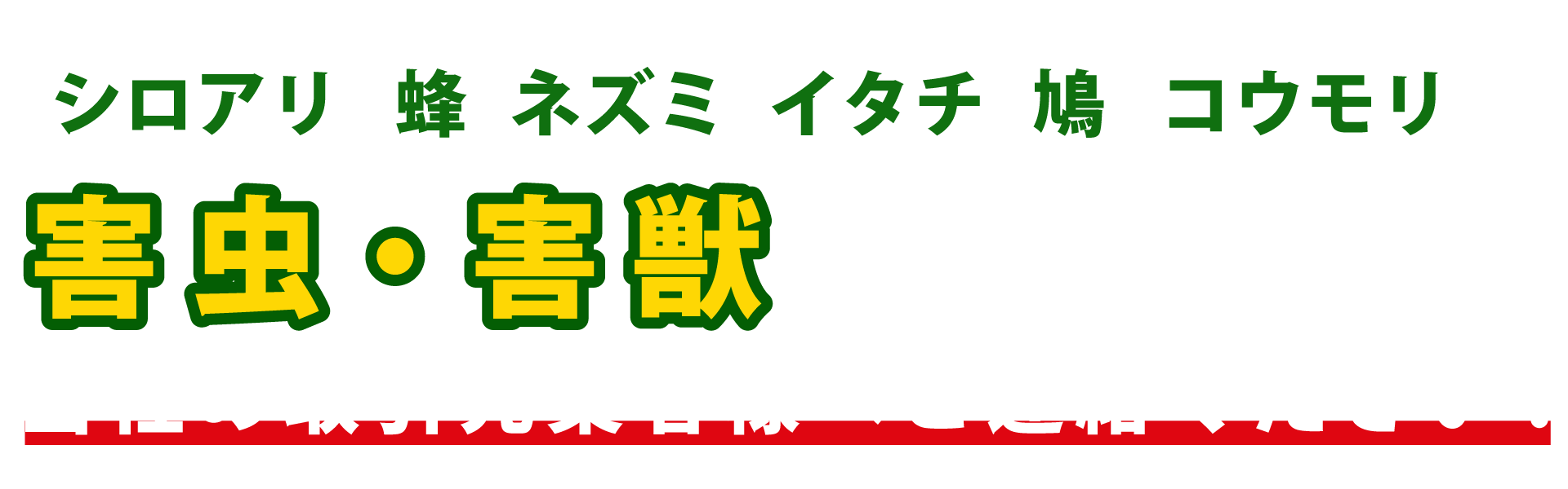 シロアリ・蜂・ネズミ・イタチ・鳩・コウモリ 害虫・害獣でお困りなら当社の取引先業者様へご連絡ください！